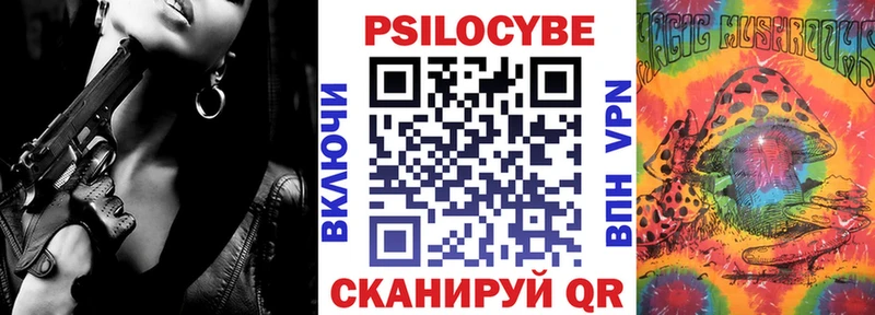 купить закладку  Инсар  Галлюциногенные грибы GOLDEN TEACHER 